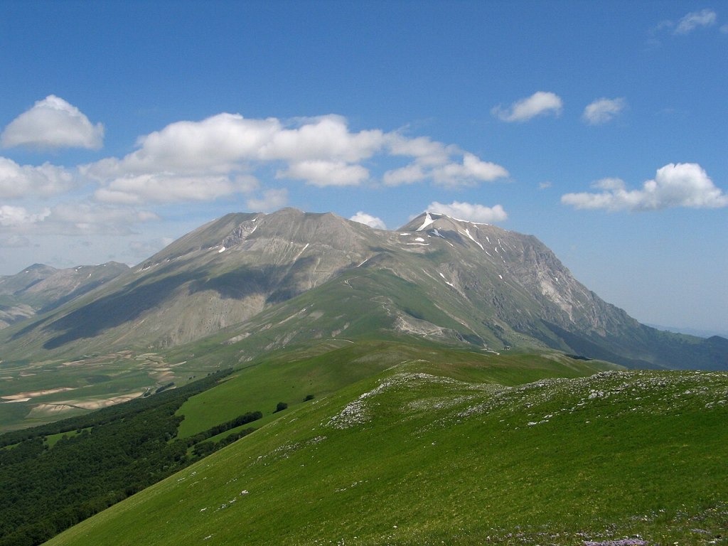 Dalle Marche al Mondo: nasce Il Vettore